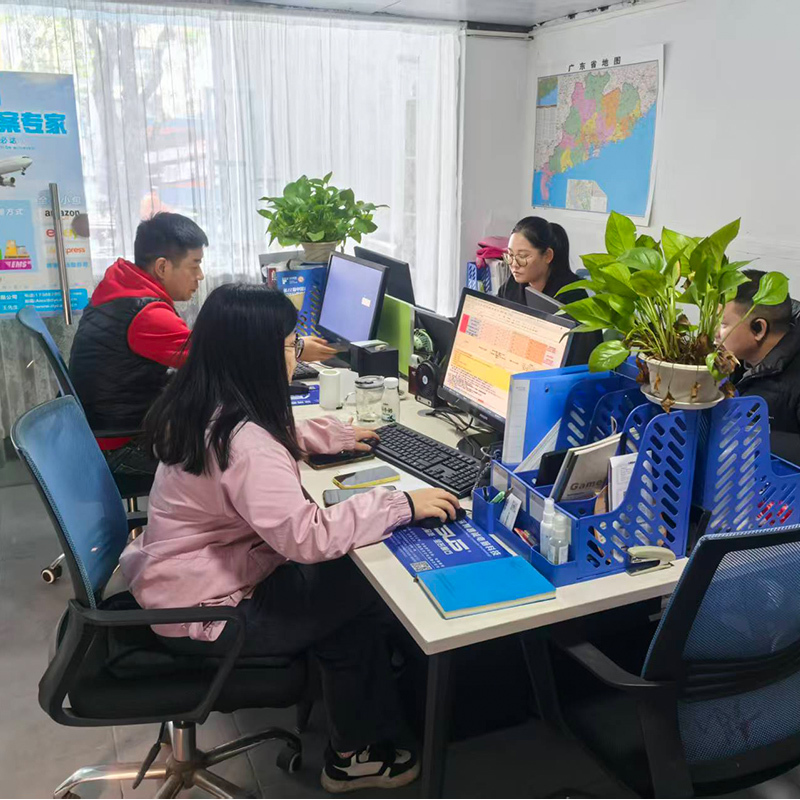 SHENZHEN DAOYI INTERNATIONAL LOGISTICS CO., LTD.