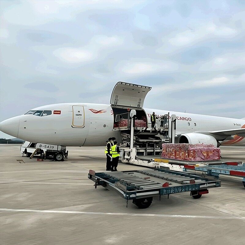 Warehousing options International Freight Forwarder specializing in global freight forwarding with secure storage and cargo handling