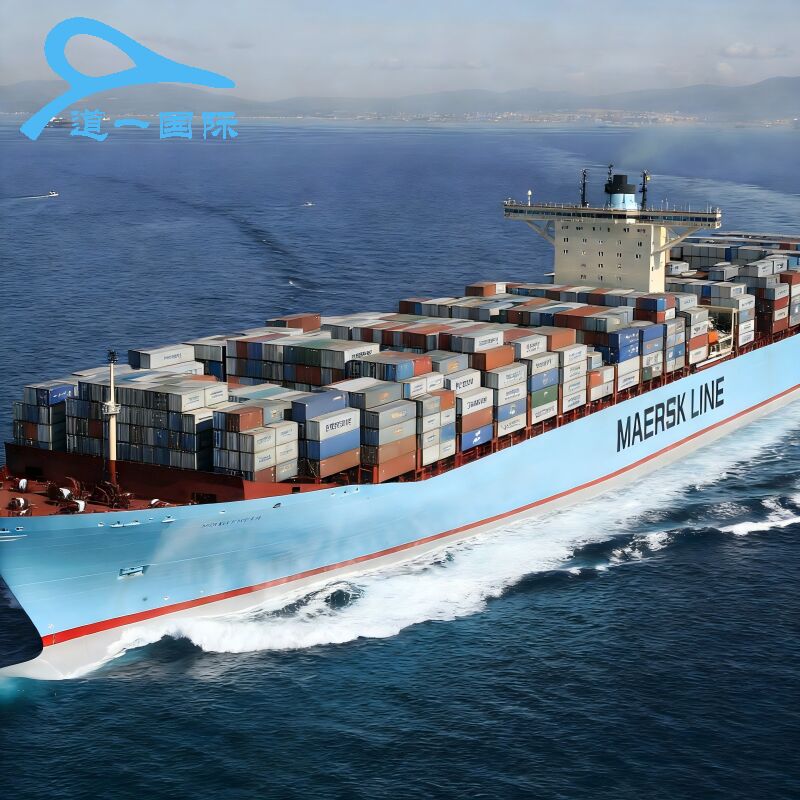 DDP Shipping Freight Forwarder with Fast Transit to Global Ports from China