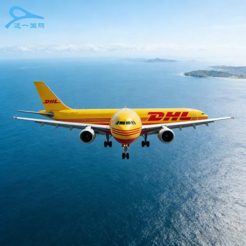 FMC Licensed Freight Forwarder with Global Network Offering Door to Door Logistics Service