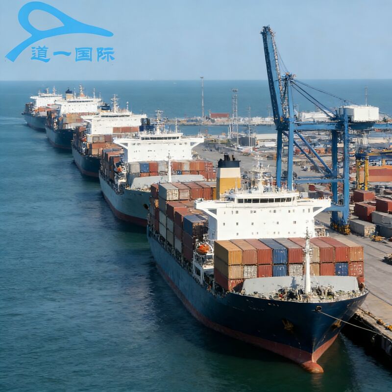 Netherlands Sea Freight DDP Service with Double Clearance, Tax-Included Door-to-Door Delivery