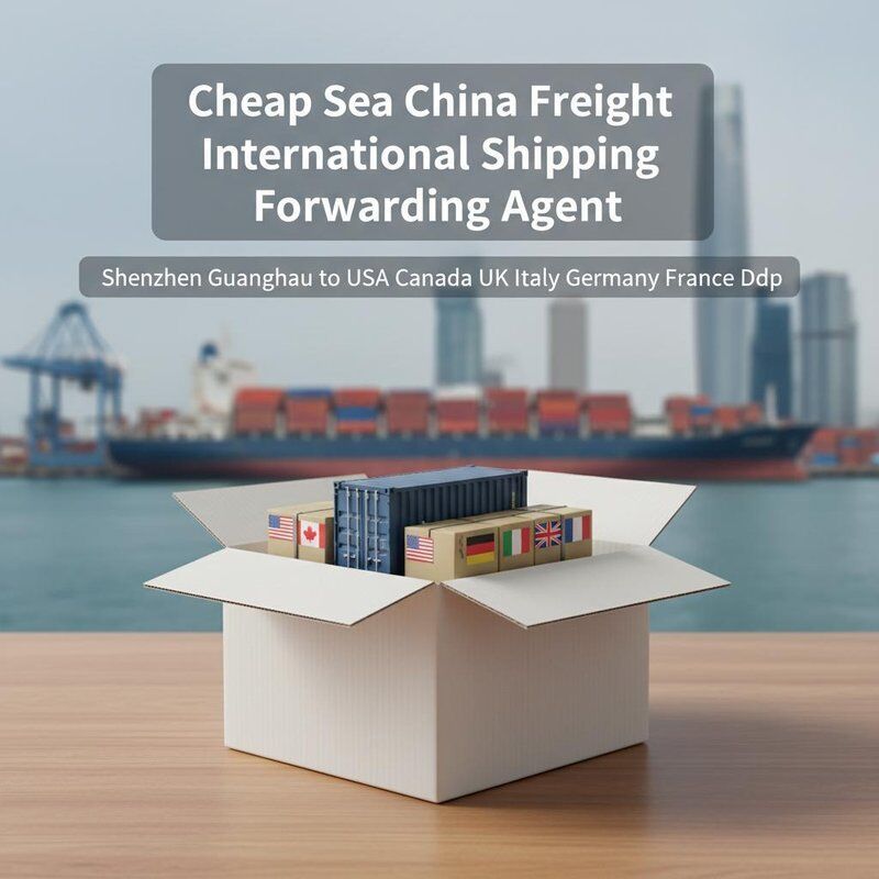 Professional Freight Forwarding with Door-to-Door Service Double Clearance and Tax-Included DDP Shipping