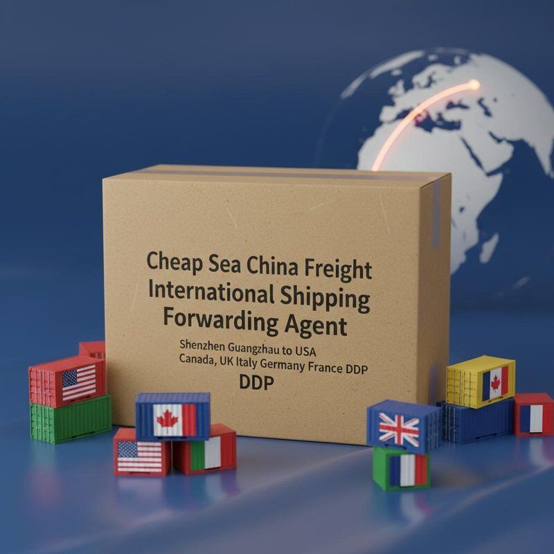 Professional Freight Forwarding and Shipping Agent Offering DDP Shipping with Door-to-Door Service and Double Clearance